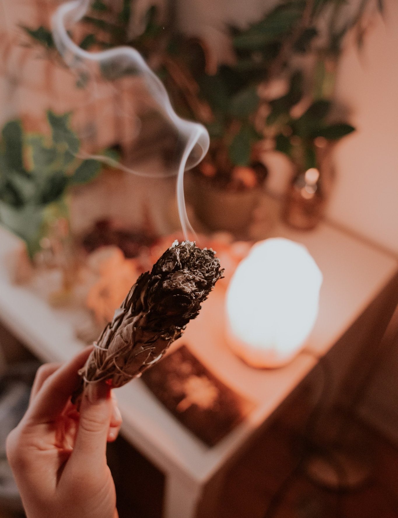 Witte salie smudge sticks 2e oogst – curated crystal by Marga Jacobs | rust, symboliek en intuïtieve zelfzorg